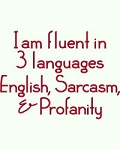 Fluent in 3 Languages